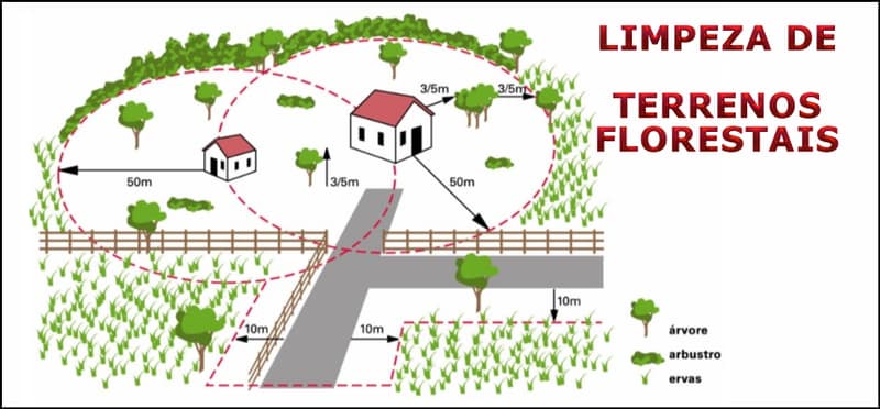 limpeza_de_terrenos_florestais.width-800
